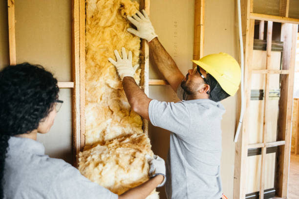 Best Eco-Friendly or Green Insulation Solutions  in Percy, IL